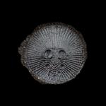 Profil von airl