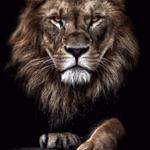 Profil von Maradona10