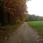 Profil von Frau_Holle