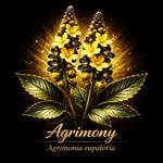 Profil von Agrimony