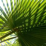 Profil von two-cents