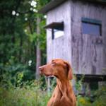 Profil von MrColumbo