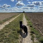 Profil von EnaLoewenherz