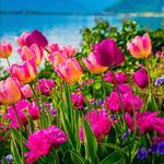 Profil von Aurora1962