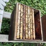 Zitat von Saschulja1985