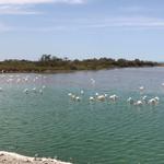 Profil von Saschulja1985