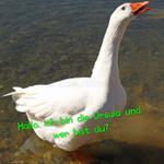 Zitat von __gans.ehrlich