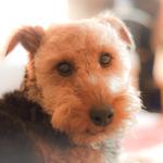 Profil von rainlove