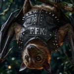 Profil von F.F.K.