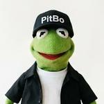 Profil von PitBo