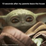 Profil von Rattensohn