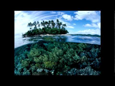 Youtube: The Future Sound Of London - Papua New Guinea (High Contrast Mix)