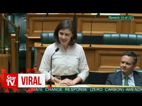 Youtube: "OK, Boomer": New Zealand MP hits out at parliament age gap