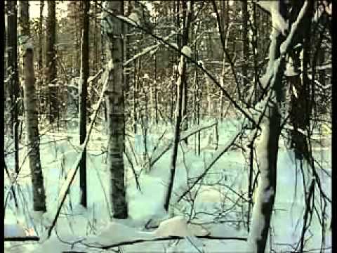 Youtube: Mystery of Dyatlov's Pass part 1