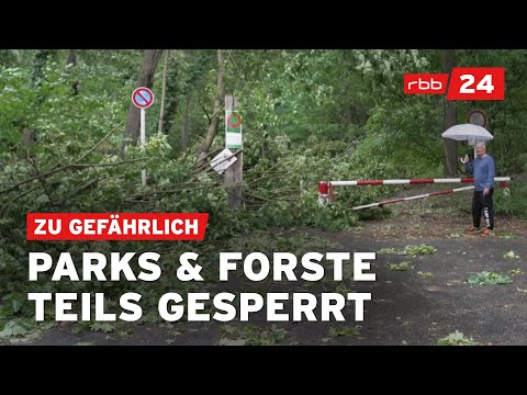 Youtube: Nach dem Sturm in Berlin: Lebensgefahr durch herabstürzende Äste