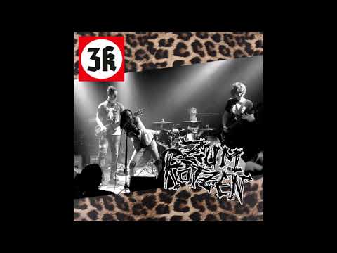 Youtube: Zum Kotzen -  Zum Kotzen ´19