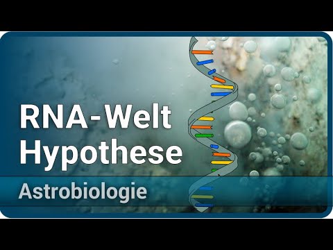 Youtube: RNA-Welt Hypothese • Entstehung des Lebens • Proto-Ribosome • Astrobiologie (4) | Aleksandar Janjic