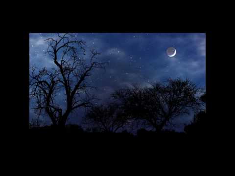 Youtube: Zara-Thustra-Magic Nights