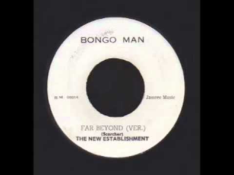 Youtube: Far Beyond + Dub - Leroy Wallace (Bongo Man)