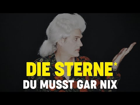 Youtube: Die Sterne - Du musst gar nix (Offizielles Video)