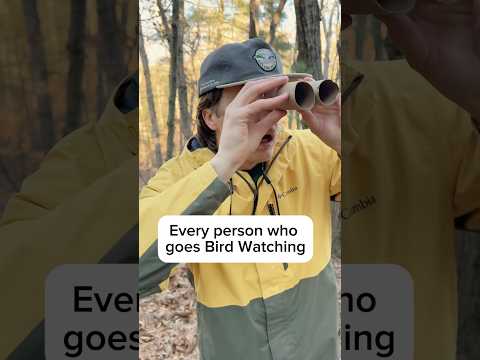 Youtube: Seersucker Warblers will take your breath away #birding #birdwatching #outdoors #comedy #shorts