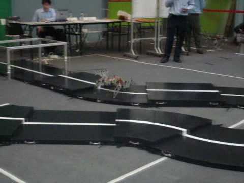 Youtube: Worlds fastest Hexapod robots