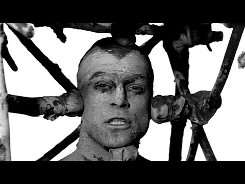 Youtube: Die Toten Hosen // „Nichts bleibt für die Ewigkeit” [Offizielles Musikvideo]