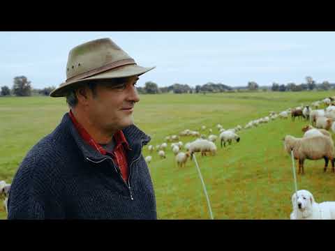 Youtube: Net fences - A field report from Lower Saxony