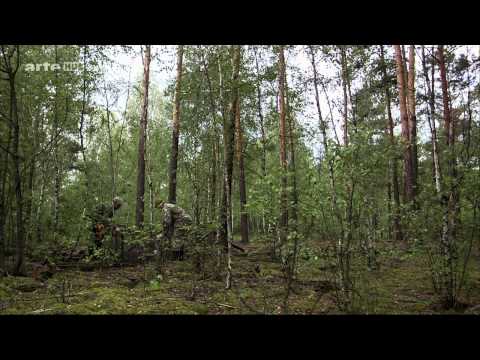 Youtube: [Doku] Tschernobyl - Die Natur kehrt zurück [HD]