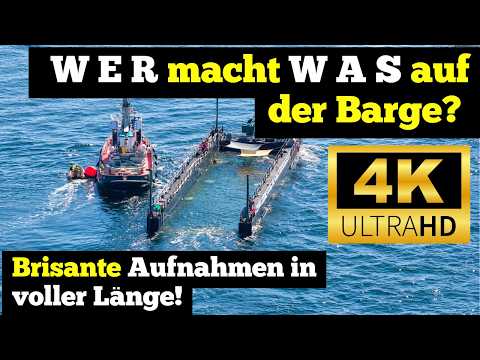Youtube: 4K Aufnahmen verraten: WER macht WAS auf der Barge bei der Freilassung von Buckelwal Hope / Timmy