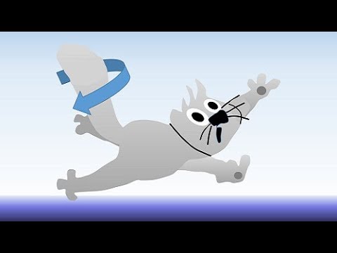 Youtube: Drehimpulserhaltung - Fallende Katzen & Rotierende Schwänze | Grenzen des Wissens