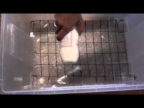 Youtube: Adding caustic soda to plastic box