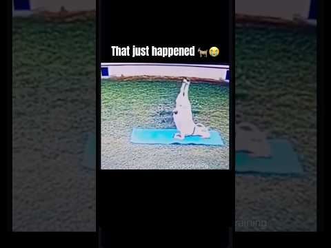 Youtube: Ziegen-Yoga 🐐😭 „das ist einfach passiert“