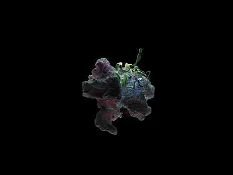 Youtube: Aldebaran - Across The Sun feat. Filippo Nardini