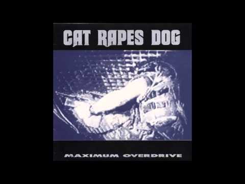 Youtube: Cat Rapes Dog Motorhead