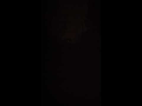 Youtube: 5mW green laser in use at night