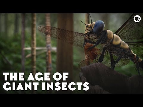 Youtube: The Age of Giant Insects