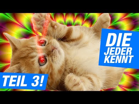 Youtube: 11 MINECRAFT YOUTUBER | DIE JEDER KENNT, TEIL 3!