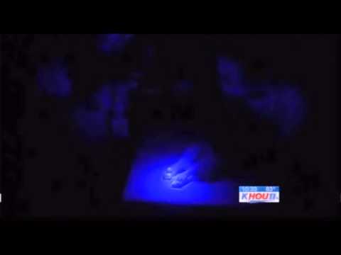 Youtube: Scientists create glow-in-the-dark dog.FLV
