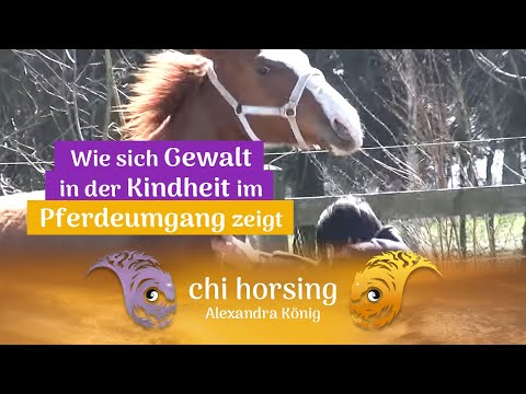 Youtube: Gewalt aus der Kindheit zeigt sich im Pferdeumgang am deutlichsten