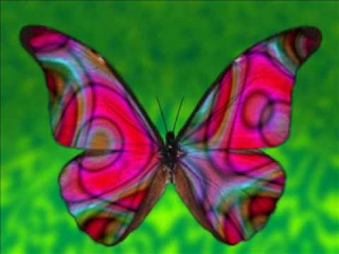 Youtube: Gudrun Gut & Inga Humpe - Butterfly (1996)