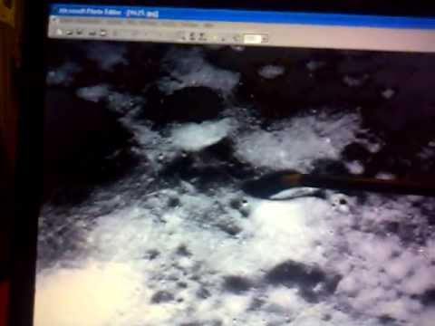 Youtube: Hier ist der entgültige beweis für auser erdischen Apollo 20 ist kein Fake es ist real teil 1