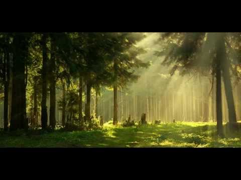 Youtube: Joachim Witt - Bis ans Ende der Zeit