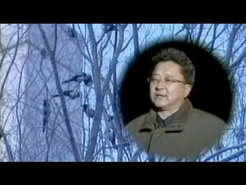 Youtube: In Nordkorea trauern selbst die Vögel um Kim