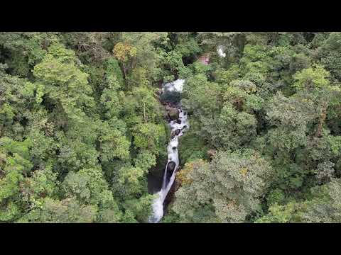 Youtube: Kris Kremers and Lisanne Froon : Drone footage of Rio Mamei, paddock stream and river Culebra