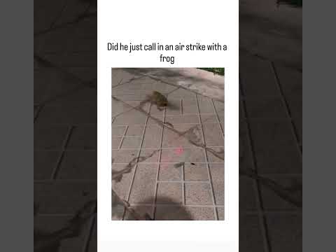 Youtube: trendtok hubb hat sie mit dem Schlag getroffen