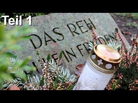 Youtube: Unbekannter Toter: "Das Reh" - Cold Case Osnabrück Teil 1