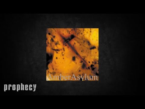 Youtube: Amber Asylum - Ave Maria