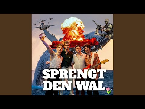 Youtube: Sprengt den Wal!