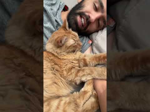 Youtube: Kermit gets it 😹